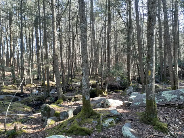 Narragansett Trail Trailhead