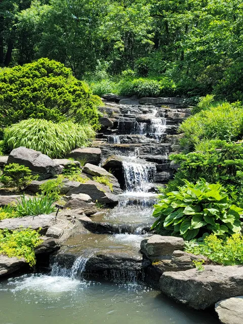Rock Garden, NYBG
