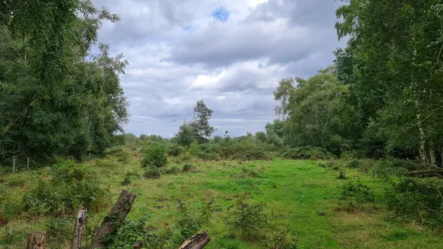 Ancells Farm Nature Reserve