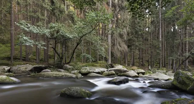 photo-3
