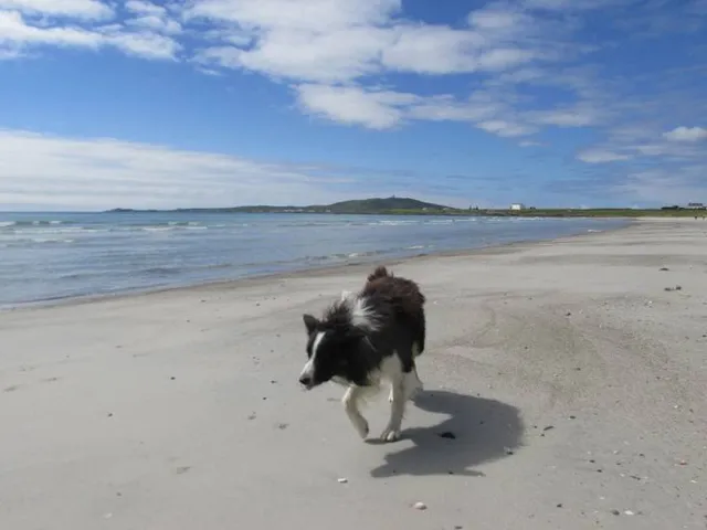 Revere Beach