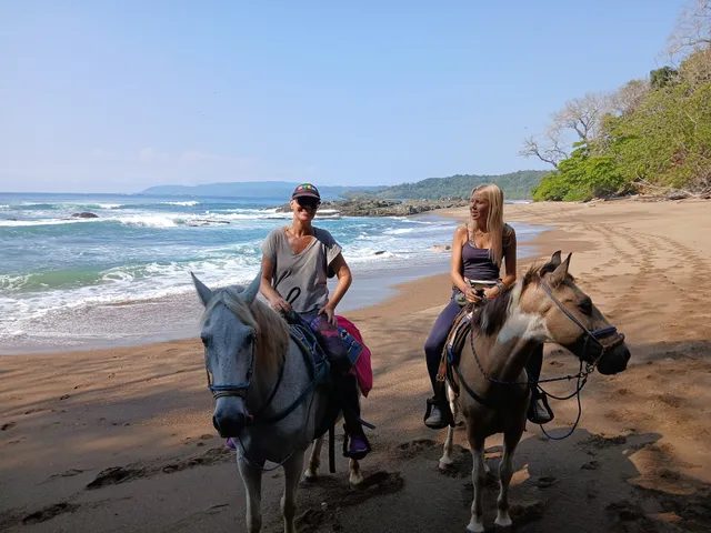 Indiana Horse Project