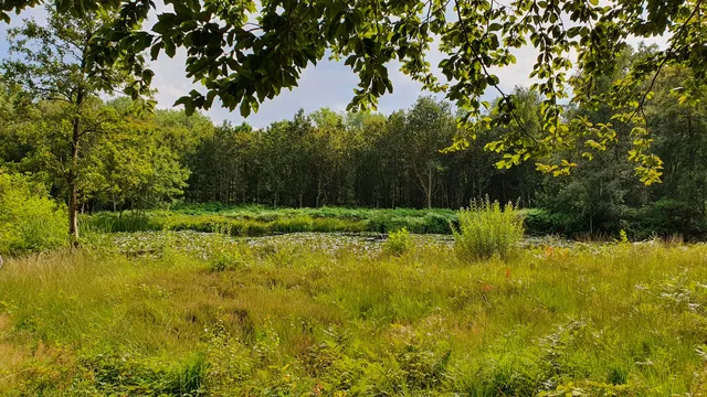 Palingbeekwandelroute