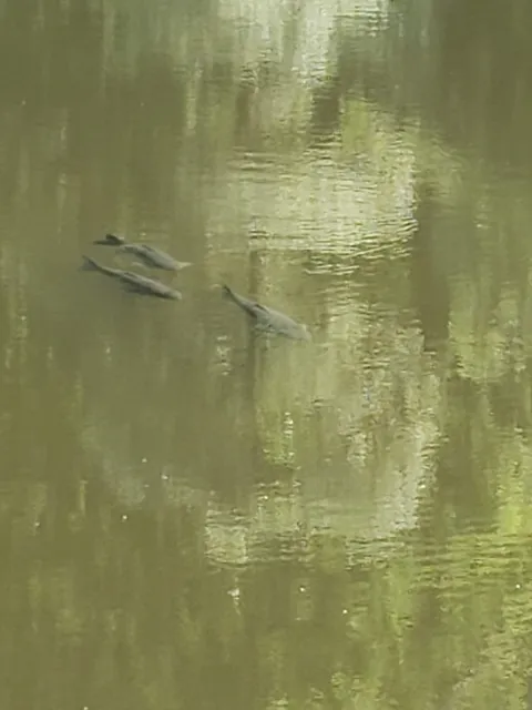 photo-3