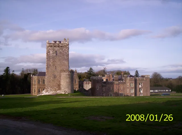 Drishane Castle