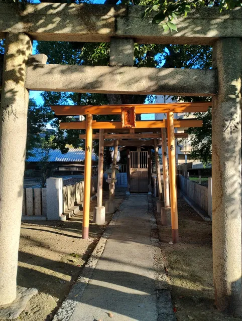photo-3