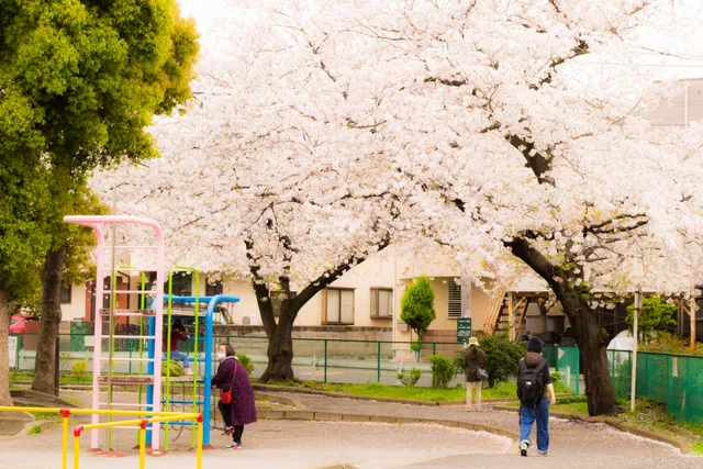 Kyunomikawa Ryokuchi Park