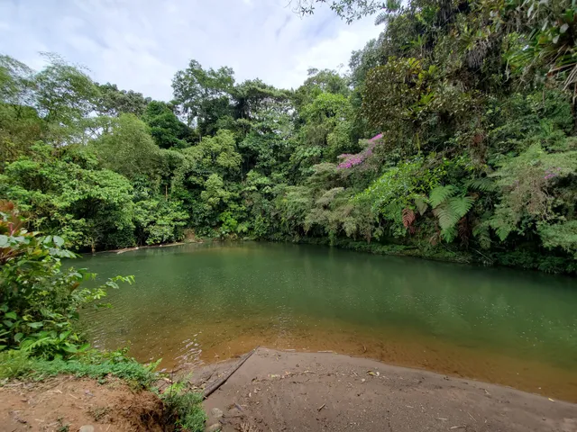 Paseo Turístico del Río Puyo
