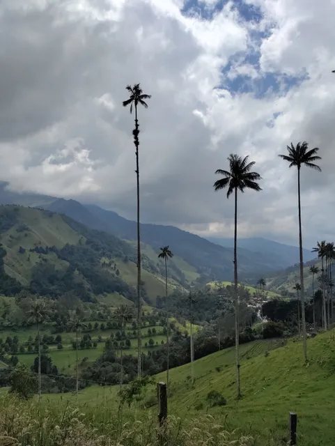 Mirador Reserva Natural Santa Rita