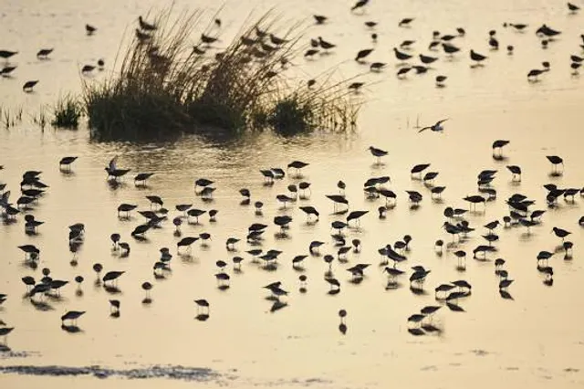 Middlefork Reservoir