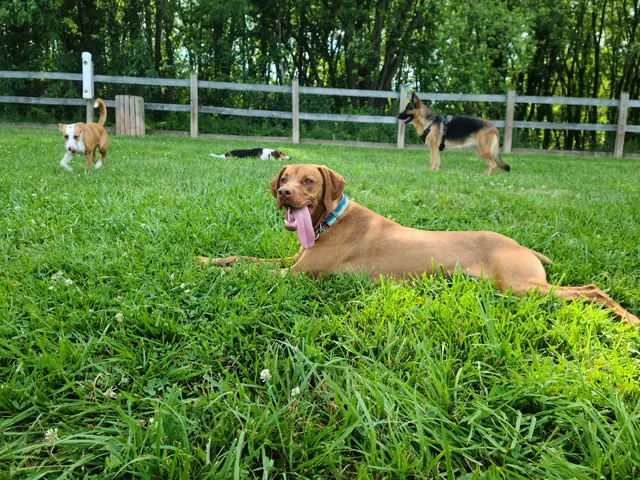 Erie Metro Bark Park - Huron, OH