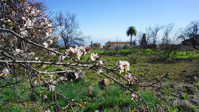 Parc Écologique d'Oujda