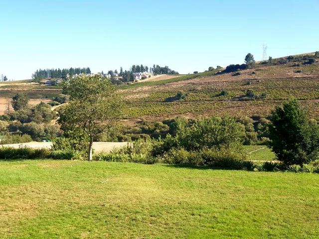 photo-1