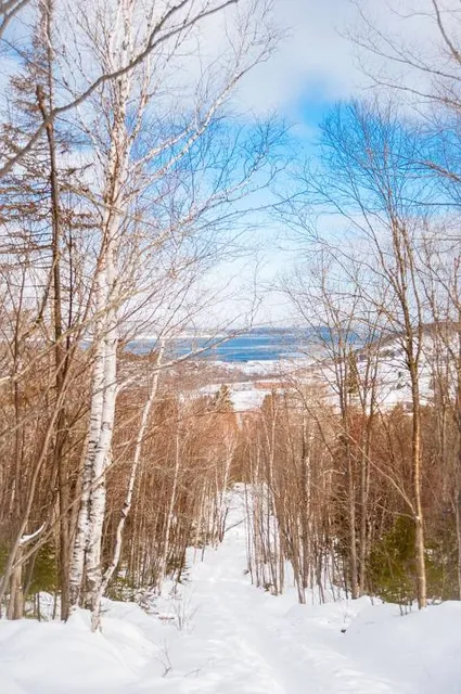 Parc provincial - Sugarloaf - Provincial Park