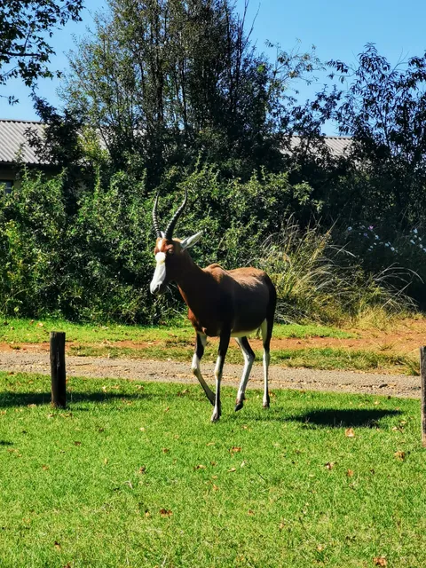 Himeville Nature Reserve