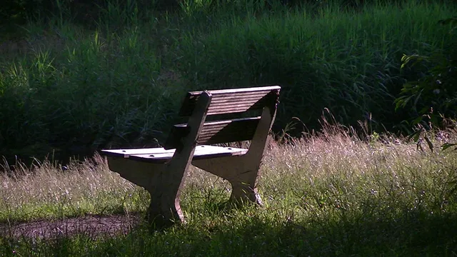 Mooi Achterhoek. Wandelen en fietsen in de Achterhoek