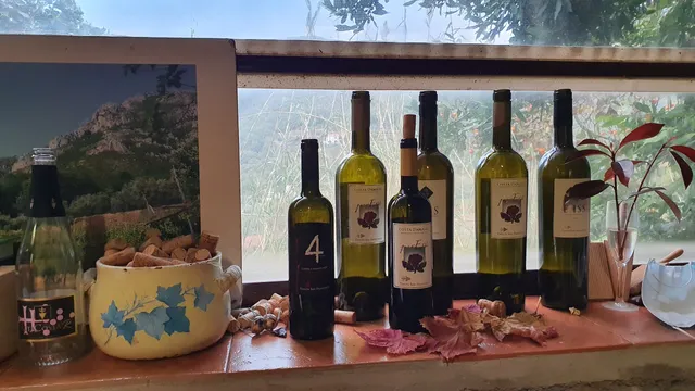 Tenuta San Francesco