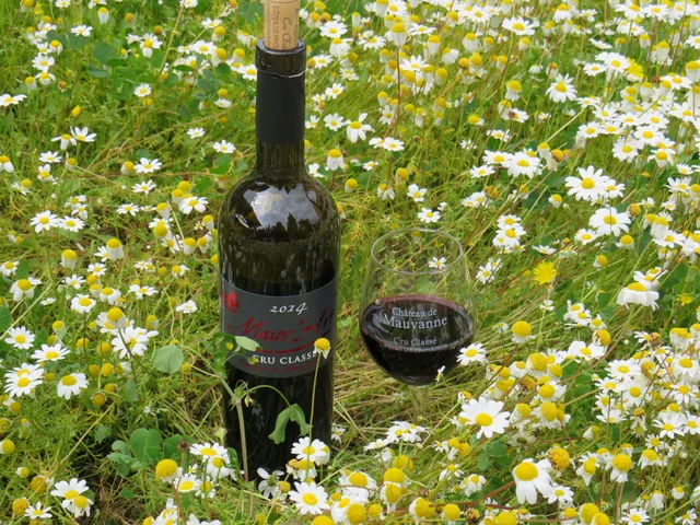 Château de Mauvanne