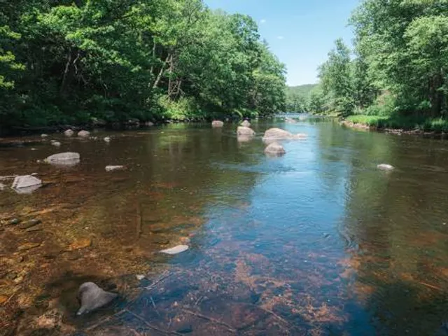 Bearsden Forest Conservation Area
