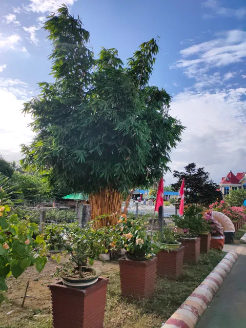 place image