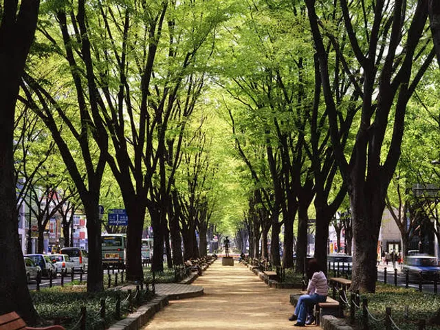 Jozenji-dori Avenue