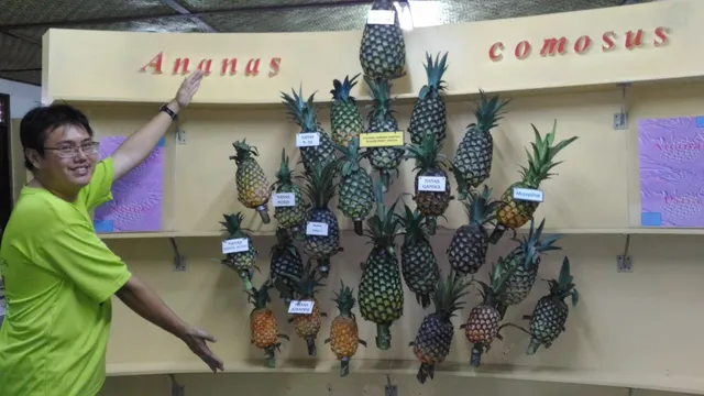 Pineapple Museum