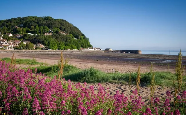 place image