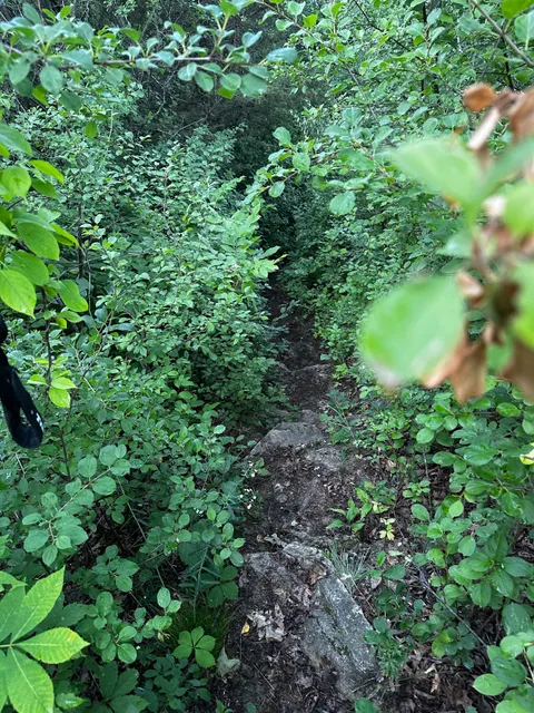 Onalaska Parks & Recreation