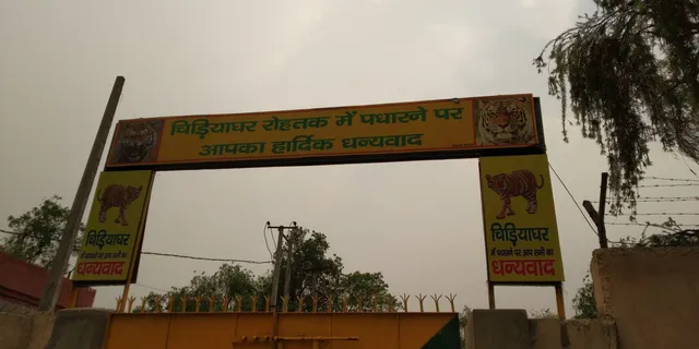 Tilyar Mini Zoo, Rohtak