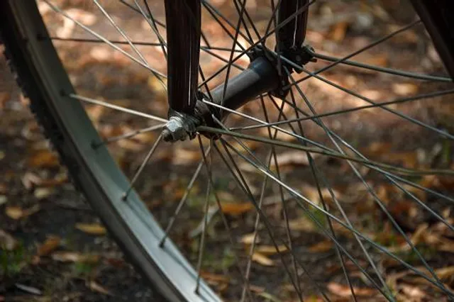 Lilongwe Wildlife Centre