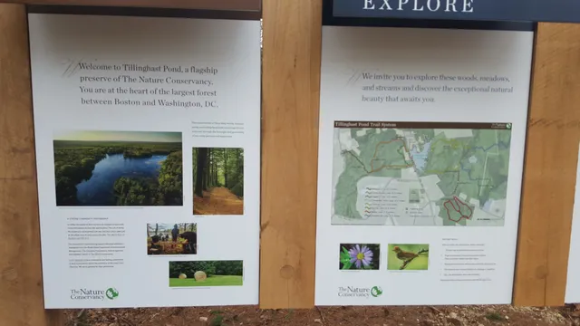Tillinghast Pond Management Area