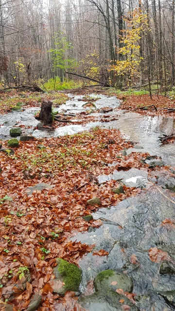 Zacharovana Dolina State Park