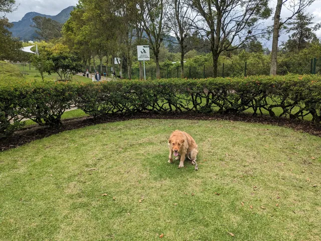 Mujer y el Niño Park
