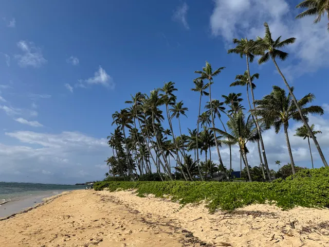 Thukkie Beach Lookout