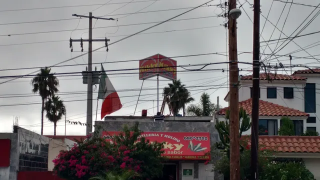 TORTILLERIA Y MOLINO Mikky