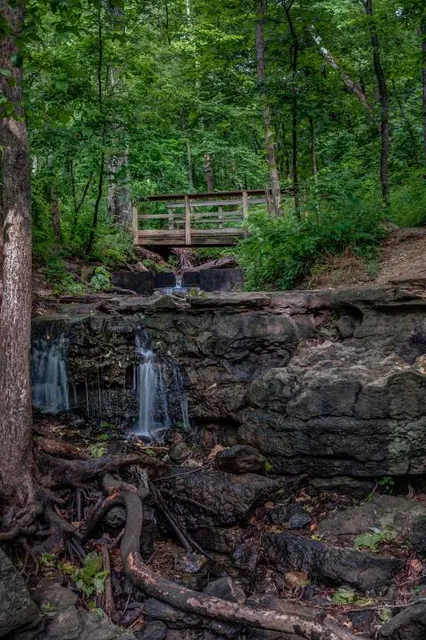 Parkville Nature Sanctuary