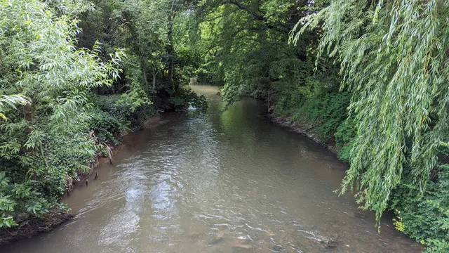 The Hurst Water Meadow Trust