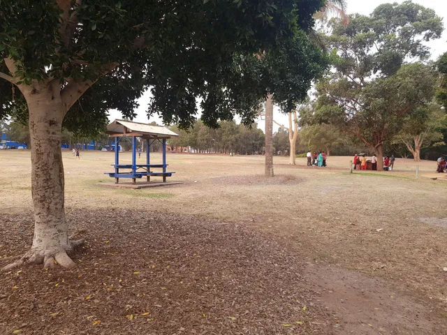 photo-3