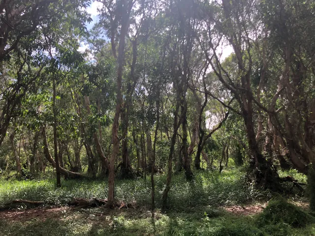 Ban Quản lý Khu Bảo tồn Thiên nhiên Bình Châu - Phước Bửu