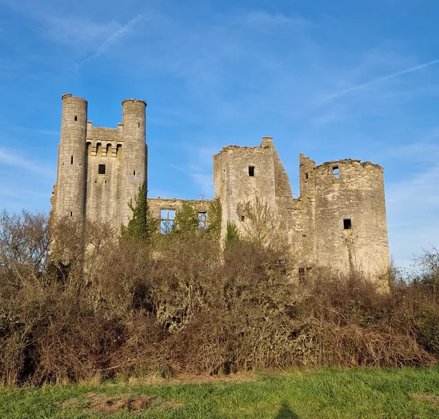 Château de Passy-les-Tours