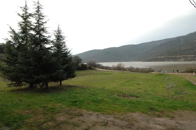 photo-3