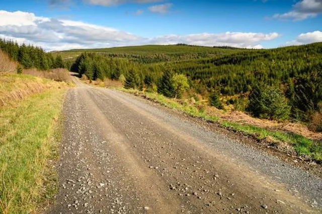Kielder Forest Drive