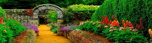 Rodzinny Ogród Działkowy Falkowa Nowy Sącz