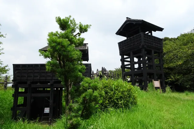 Tojo Castle Ruins
