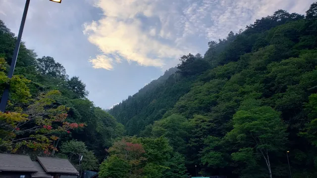 Hinohara Tokyo Citizens' Forest