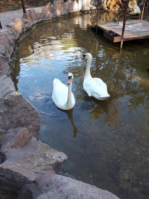 Ethnic Park Ken Baba