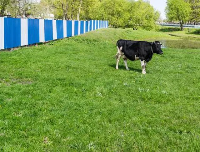 Holland Casino Valkenburg