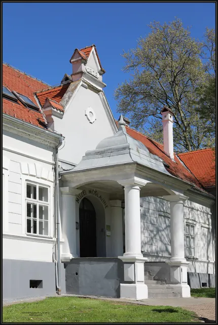 photo-3