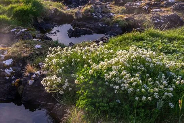 Schieferbrüche bei Probstzella