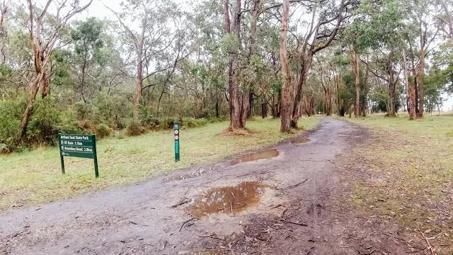 Arthurs Seat State Park